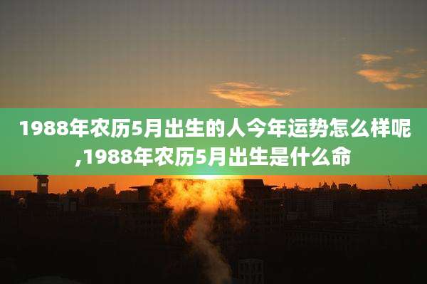 1988年农历5月出生的人今年运势怎么样呢,1988年农历5月出生是什么命