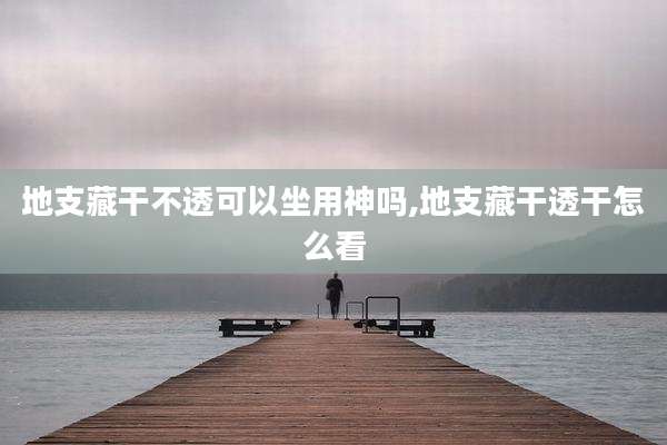 地支藏干不透可以坐用神吗,地支藏干透干怎么看
