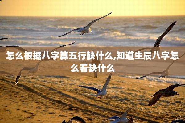 怎么根据八字算五行缺什么,知道生辰八字怎么看缺什么