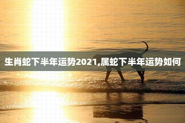 生肖蛇下半年运势2021,属蛇下半年运势如何