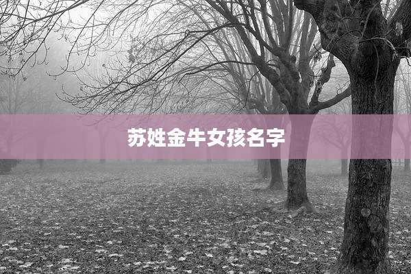 苏姓金牛女孩名字