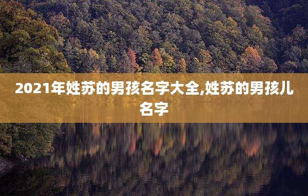 2021年姓苏的男孩名字大全,姓苏的男孩儿名字