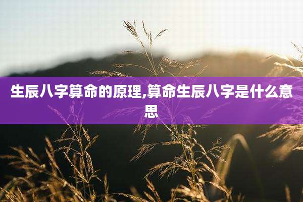 生辰八字算命的原理,算命生辰八字是什么意思