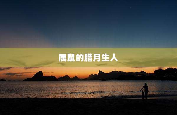 属鼠的腊月生人