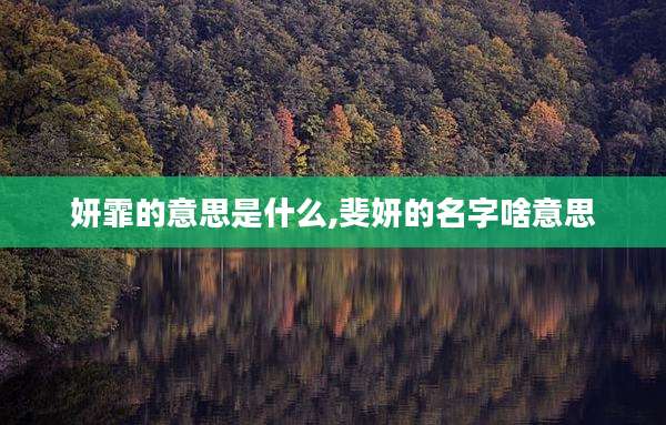 妍霏的意思是什么,斐妍的名字啥意思