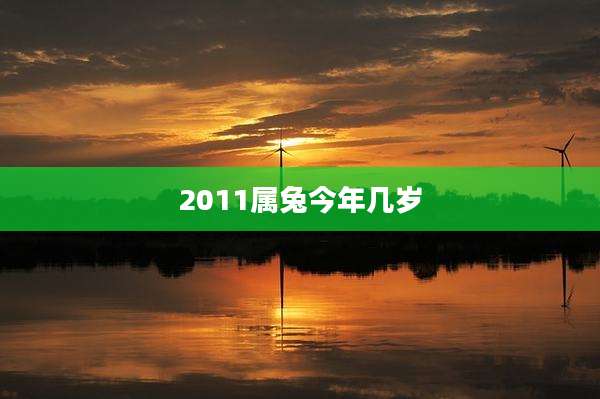 2011属兔今年几岁