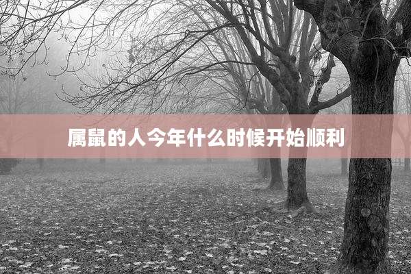 属鼠的人今年什么时候开始顺利
