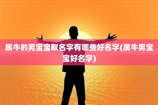 属牛的男宝宝取名字有哪些好名字(属牛男宝宝好名字)