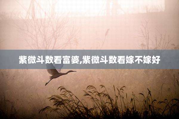 紫微斗数看富婆,紫微斗数看嫁不嫁好