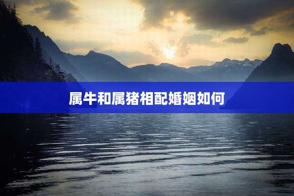 属牛和属猪相配婚姻如何