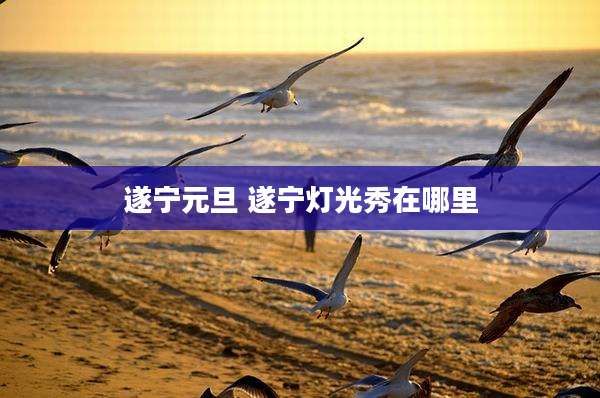 遂宁元旦 遂宁灯光秀在哪里