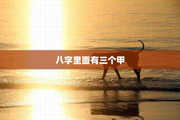 八字里面有三个甲