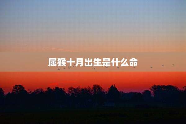 属猴十月出生是什么命