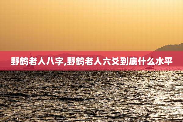 野鹤老人八字,野鹤老人六爻到底什么水平