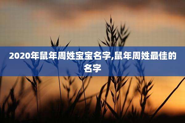 2020年鼠年周姓宝宝名字,鼠年周姓最佳的名字