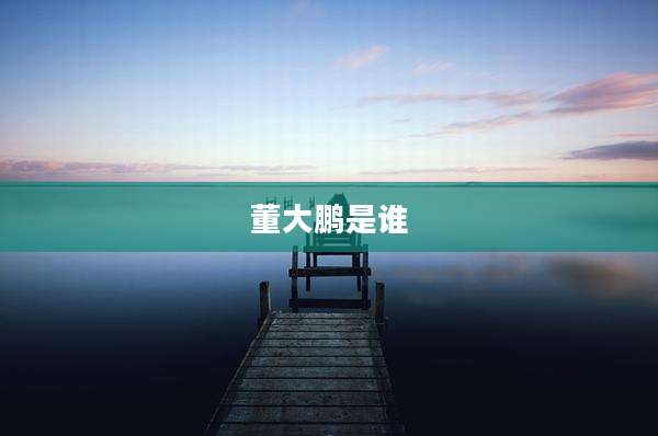 董大鹏是谁