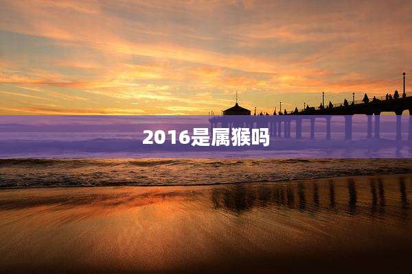 2016是属猴吗