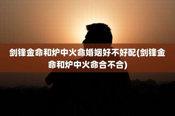 剑锋金命和炉中火命婚姻好不好配(剑锋金命和炉中火命合不合)