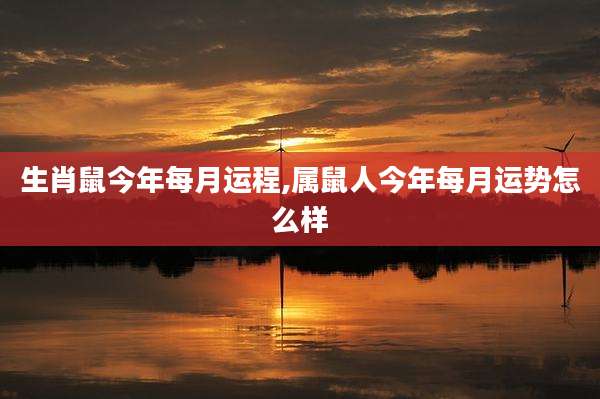 生肖鼠今年每月运程,属鼠人今年每月运势怎么样