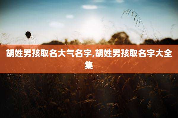 胡姓男孩取名大气名字,胡姓男孩取名字大全集