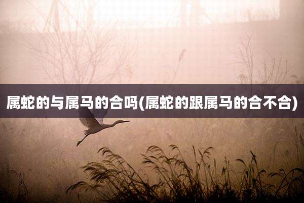 属蛇的与属马的合吗(属蛇的跟属马的合不合)