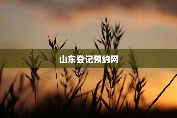 山东登记预约网