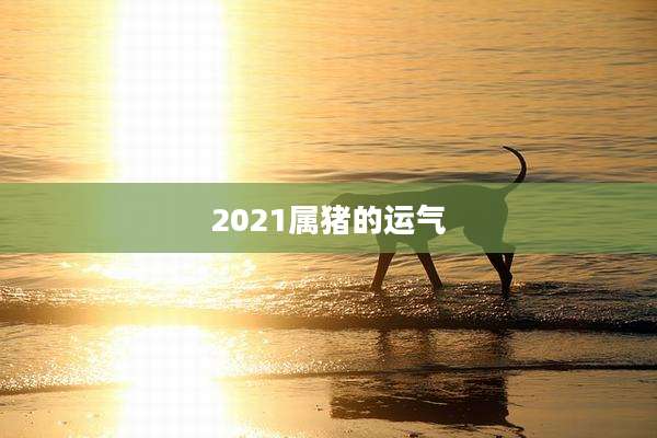 2021属猪的运气