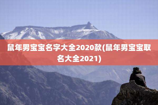 鼠年男宝宝名字大全2020款(鼠年男宝宝取名大全2021)