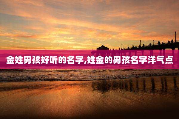 金姓男孩好听的名字,姓金的男孩名字洋气点