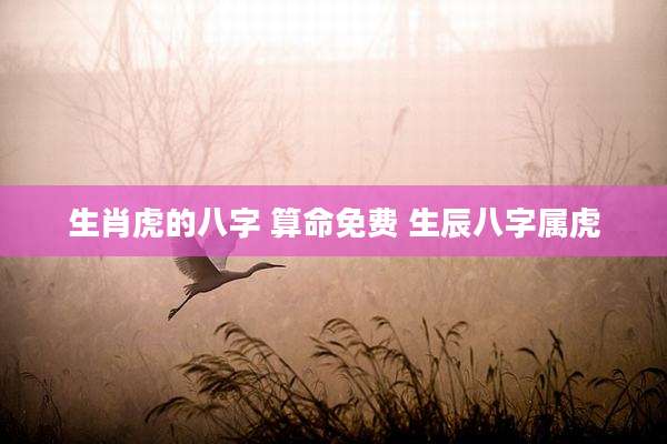 生肖虎的八字 算命免费 生辰八字属虎