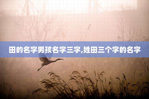 田的名字男孩名字三字,姓田三个字的名字