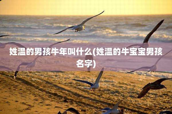 姓温的男孩牛年叫什么(姓温的牛宝宝男孩名字)