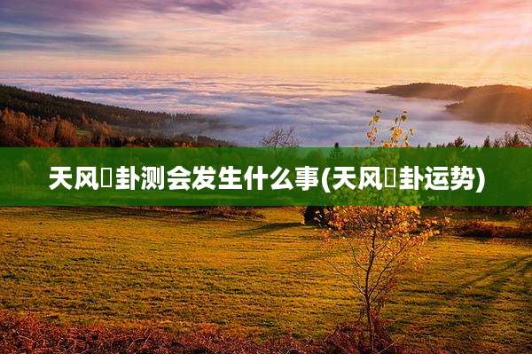 天风姤卦测会发生什么事(天风姤卦运势)
