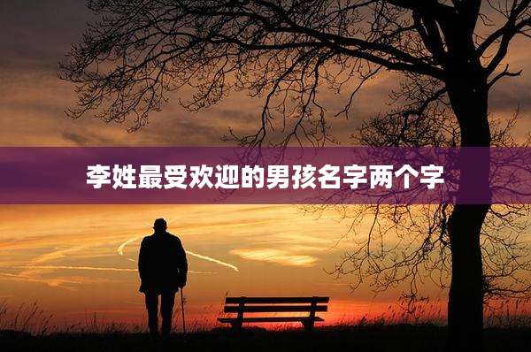 李姓最受欢迎的男孩名字两个字