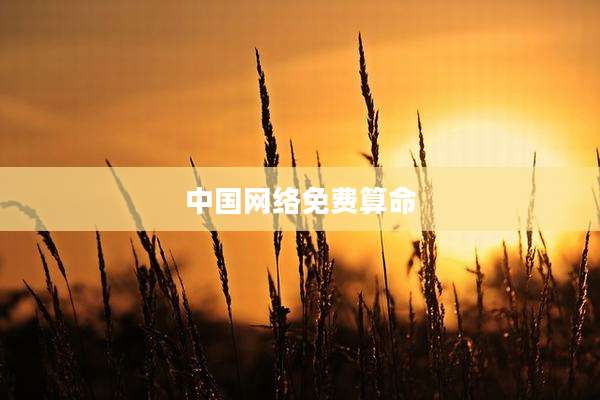 中国网络免费算命