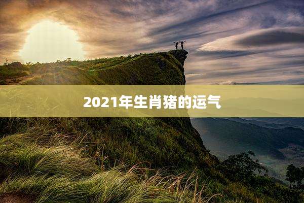 2021年生肖猪的运气