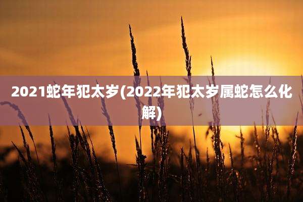 2021蛇年犯太岁(2022年犯太岁属蛇怎么化解)