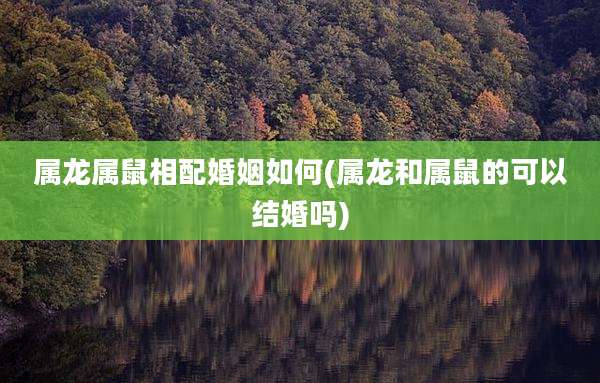 属龙属鼠相配婚姻如何(属龙和属鼠的可以结婚吗)