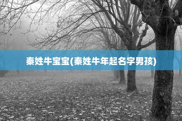 秦姓牛宝宝(秦姓牛年起名字男孩)