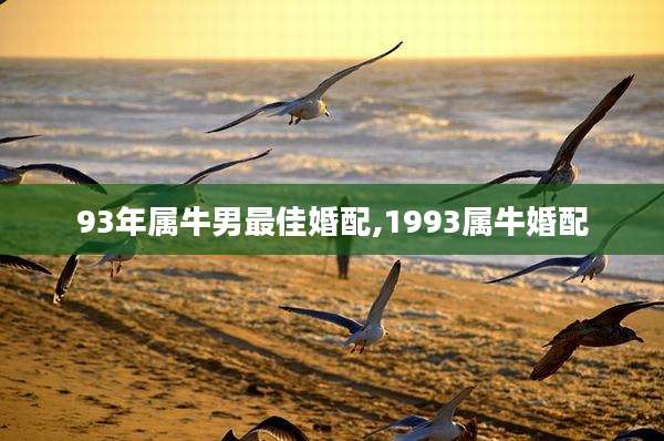 93年属牛男最佳婚配,1993属牛婚配