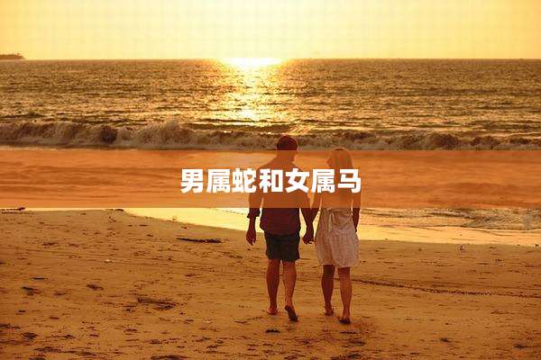 男属蛇和女属马