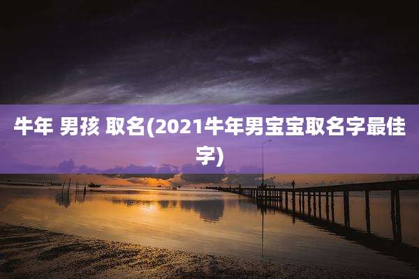 牛年 男孩 取名(2021牛年男宝宝取名字最佳字)