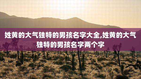 姓黄的大气独特的男孩名字大全,姓黄的大气独特的男孩名字两个字