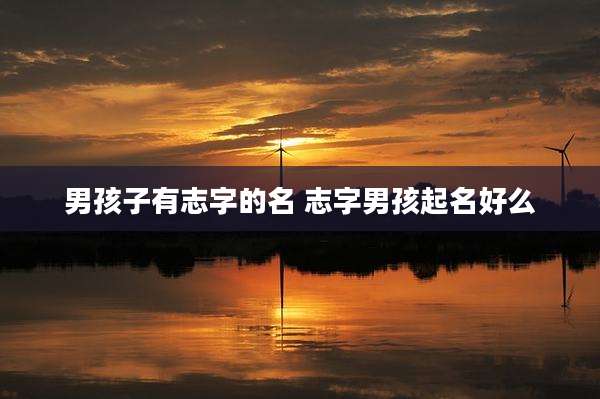 男孩子有志字的名 志字男孩起名好么
