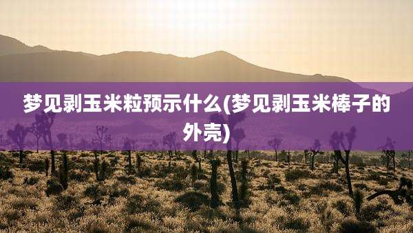 梦见剥玉米粒预示什么(梦见剥玉米棒子的外壳)