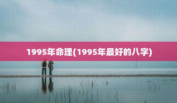 1995年命理(1995年最好的八字)