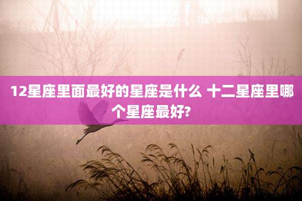 12星座里面最好的星座是什么 十二星座里哪个星座最好?