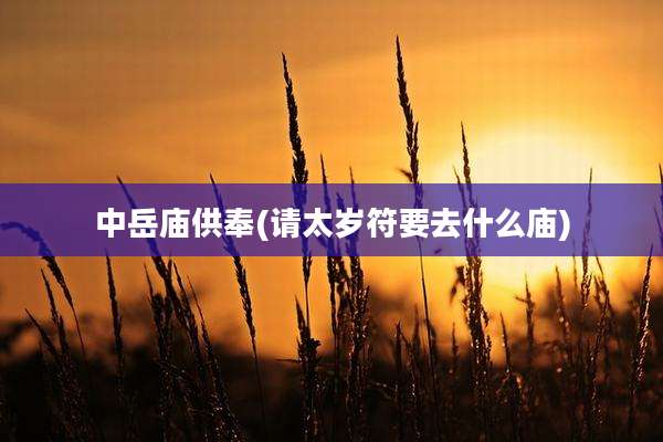 中岳庙供奉(请太岁符要去什么庙)