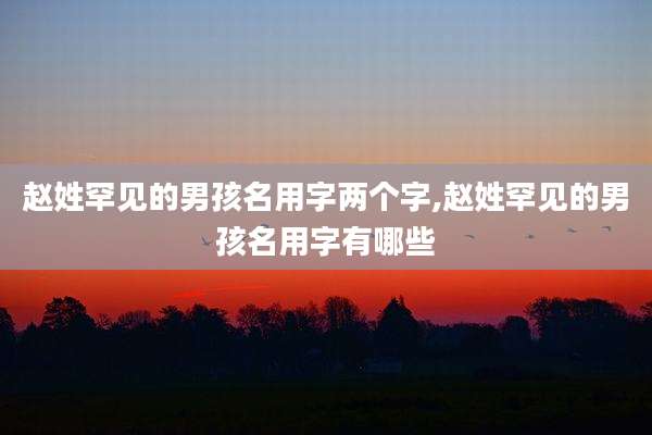 赵姓罕见的男孩名用字两个字,赵姓罕见的男孩名用字有哪些