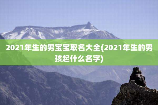 2021年生的男宝宝取名大全(2021年生的男孩起什么名字)